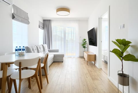 TV and multimedia, Living room, Seating area, air conditioner