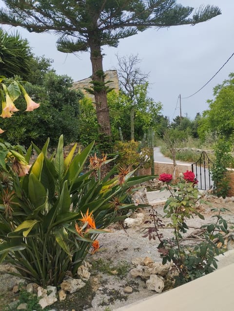 Liza's Place Nature lodge in Crete