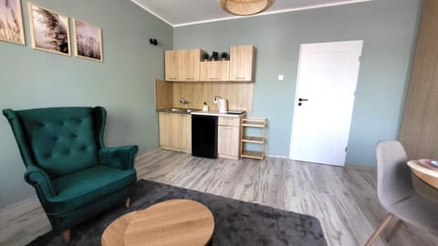 Kitchen or kitchenette, Living room, Seating area, oven, pet friendly, stove