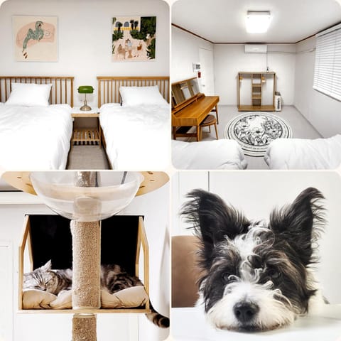 Bed, Photo of the whole room, Bedroom, Pets