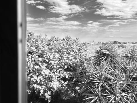 Appartamenti Borghetti Apartment in Ortona