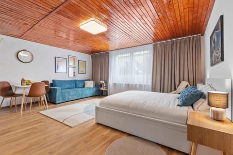 Bed, Living room, Photo of the whole room, Seating area, Bedroom