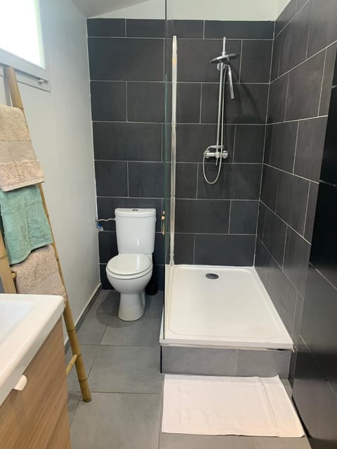 Shower, Toilet, Bathroom, towels