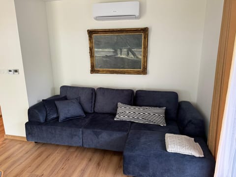 Living room, Seating area, air conditioner
