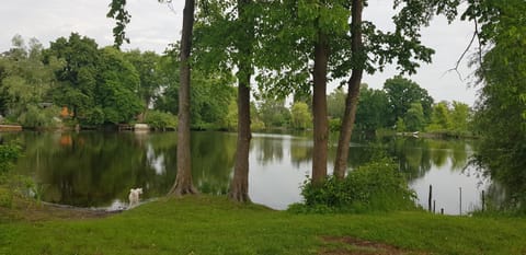 Nearby landmark