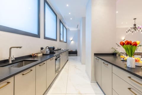 Coffee/tea facilities, Kitchen or kitchenette, stove