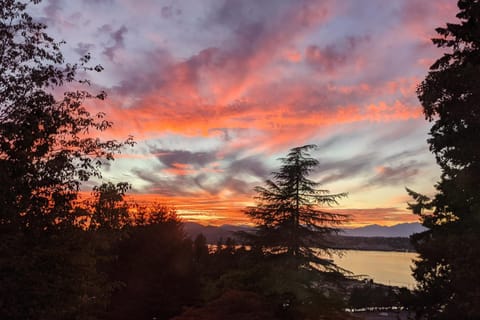 Urban Outlook House in Port Orchard