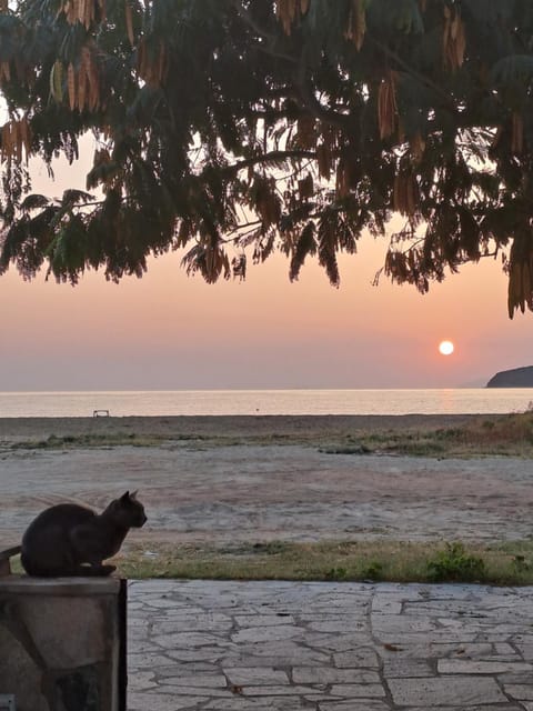 Natural landscape, Sea view, Sunrise