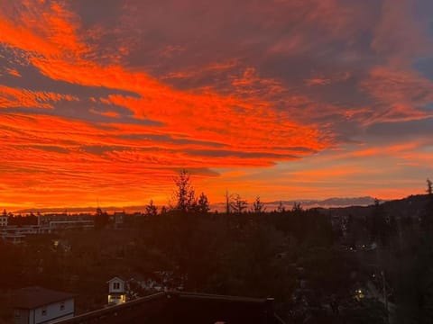 Super wow view! Apartment in Langford