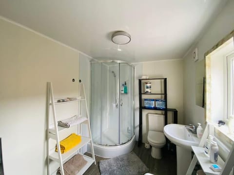 Shower, Toilet, towels