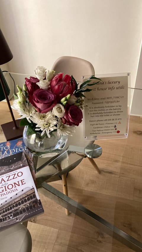 Diana's luxury guest house Apartment in Padua