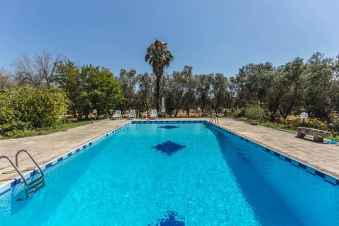 Day, Pool view, Swimming pool, sunbed