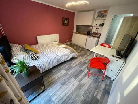 Bed, TV and multimedia, Kitchen or kitchenette, Photo of the whole room, Garden view, wardrobe