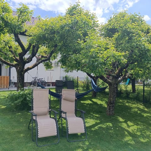 Garden, Garden view, sunbed