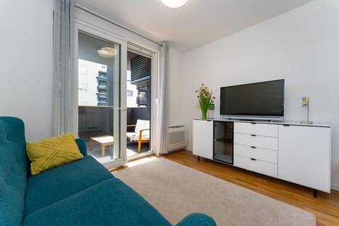 TV and multimedia