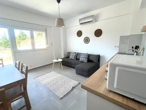 Sithonian suites Apartment in Halkidiki