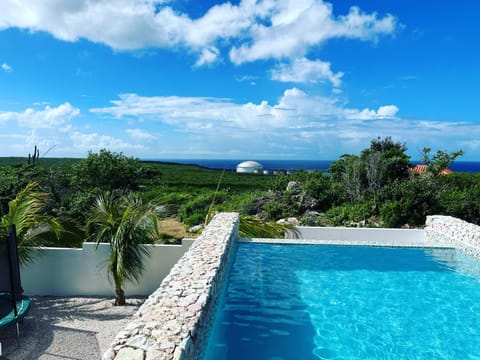 Natural landscape, Garden, Swimming pool