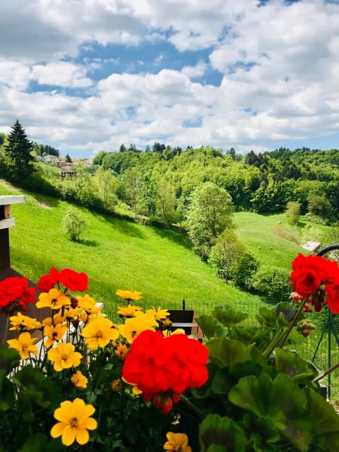 Ongarrelax Apartments Apartment in Veneto