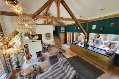 Living room, Lounge or bar, Dining area, Bedroom, fireplace, kitchen