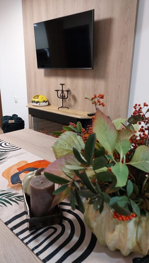 TV and multimedia, fireplace