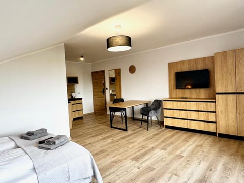 Bed, TV and multimedia, Kitchen or kitchenette, Living room, Photo of the whole room, Seating area, Bedroom, minibar, oven, wardrobe