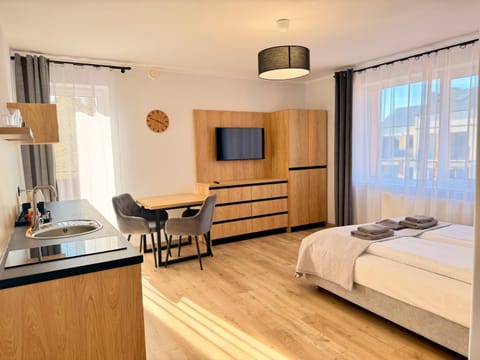 Communal lounge/ TV room, Bed, TV and multimedia, Kitchen or kitchenette, Photo of the whole room, Evening entertainment, Bedroom, minibar, wardrobe
