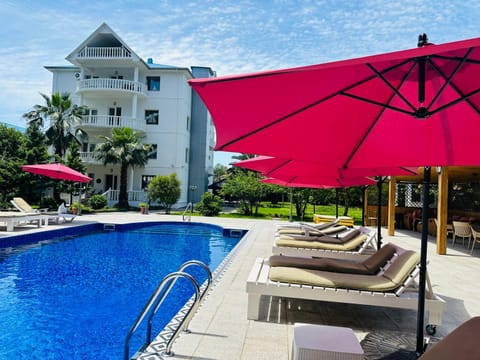 Property building, Day, Garden, Garden view, Pool view, Swimming pool