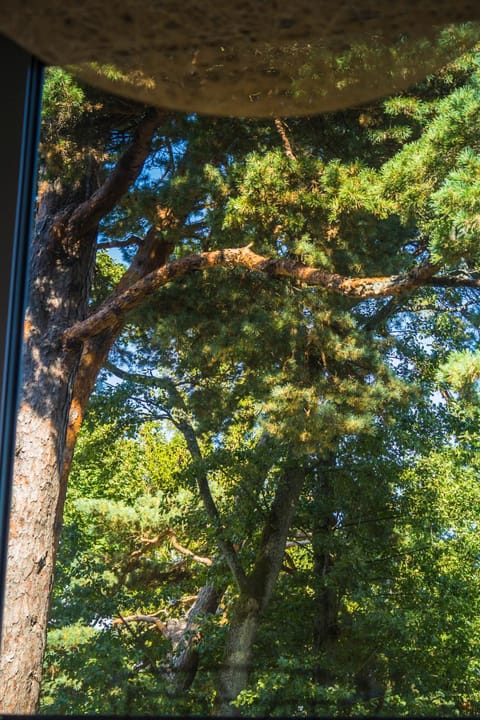 Apartamentai prie Birutės parko Apartment in Palanga