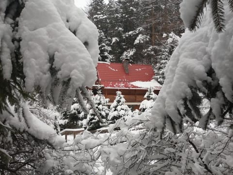 Natural landscape, Winter