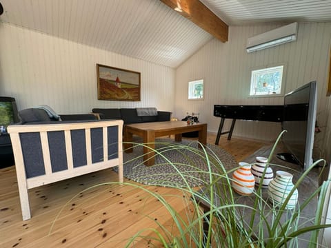 Big renovated cottage with soul and love House in Zealand