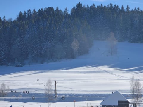 Ferienwohnung Seeblick Nr 1 ,Feldberg Bärental Apartment in Hinterzarten