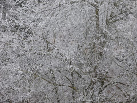 Ferienwohnung Seeblick Nr 1 ,Feldberg Bärental Apartment in Hinterzarten