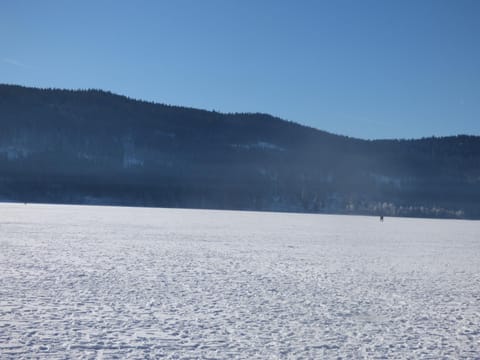 Ferienwohnung Seeblick Nr 1 ,Feldberg Bärental Apartment in Hinterzarten