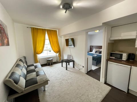 Kitchen or kitchenette, Living room, Photo of the whole room, Seating area, Bedroom, microwave, stove