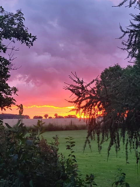 Natural landscape, Sunset