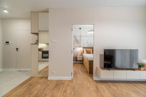 TV and multimedia, wardrobe