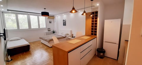 Apartman Durmitor Apartment in Belgrade