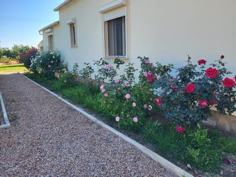 Maison jumelée clôturée Apartment in Linguizzetta