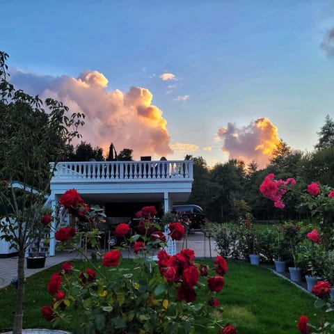 Restaurant/places to eat, Garden, Balcony/Terrace, Lounge or bar