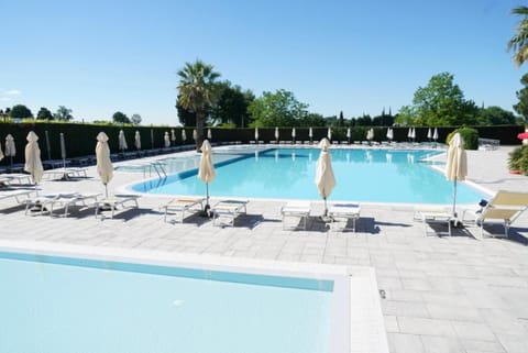 Swimming pool, Swimming pool, sunbed