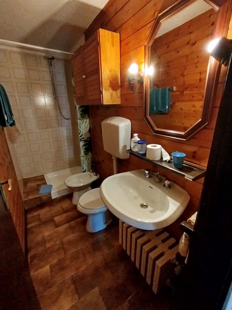 Shower, Toilet, Bathroom, bidet, towels