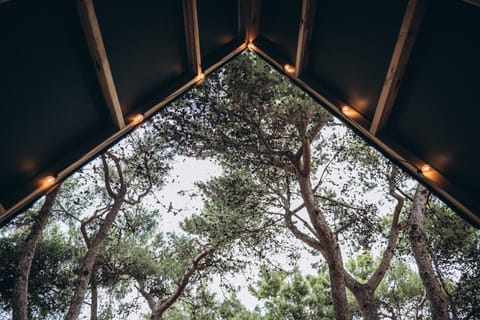 Relax Residence Village Apartment hotel in Rodi Garganico