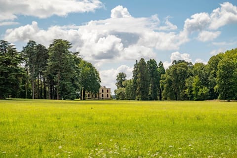 Spring, Day, Natural landscape
