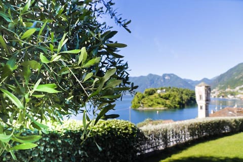 Nearby landmark, Spring, Day, Natural landscape, Garden, Mountain view