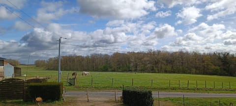 Pleine nature, 10 min zoo Beauval Mareuil sur cher House in Centre-Val de Loire