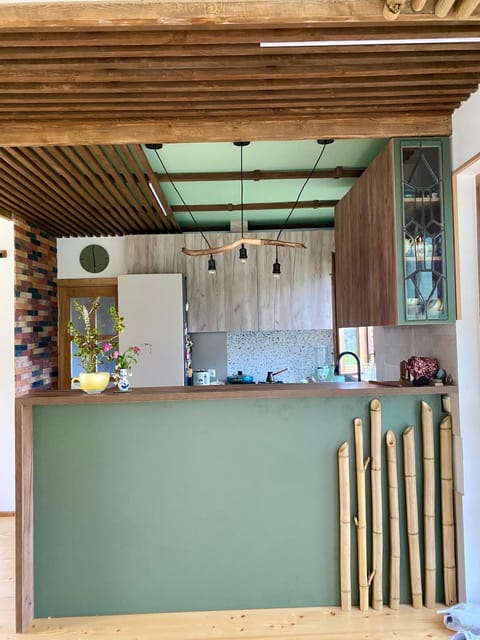 Kitchen or kitchenette, Internal: Not applicable to any particular room