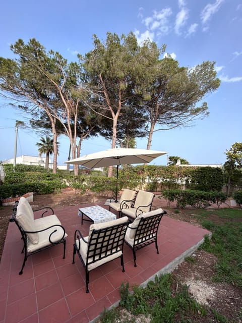 Patio, Day, Natural landscape, Garden, Garden view