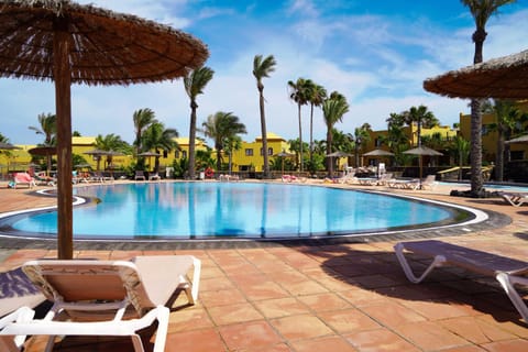 Spring, Day, Garden view, Pool view, Swimming pool, sunbed