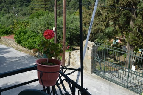 REPANTALIA Apartment House in Zakynthos