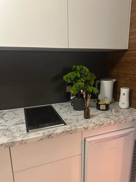 Oasis of salt Apartment in Federation of Bosnia and Herzegovina